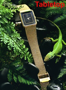 lizard and watch red